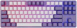 Dark Project One KD87A Violet-White, G3MS Sapphire Switch, US цена и информация | Клавиатуры | pigu.lt