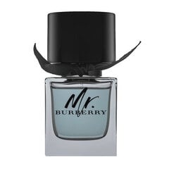 Туалетная вода Burberry Mr. Burberry EDT для мужчин, 50 мл цена и информация | Мужские духи | pigu.lt