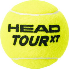 Мячи для полевого тенниса Head Tour XT, 4 шт, желтые цена и информация | Товары для большого тенниса | pigu.lt