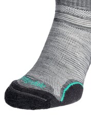 Bridgedale UL T2 Merino Performance Low - m.grey/sur 77611-2646 цена и информация | Мужские носки | pigu.lt