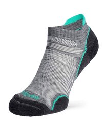 Bridgedale UL T2 Merino Performance Low - m.grey/sur 77611-2646 цена и информация | Мужские носки | pigu.lt