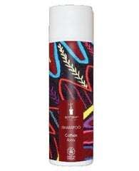 Natūralus šampūnas su aktyviuoju kofeinu Bioturm 200 ml kaina ir informacija | Bioturm Plaukų priežiūrai | pigu.lt