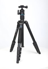 Benro IT25 цена и информация | Штативы для фотоаппаратов | pigu.lt