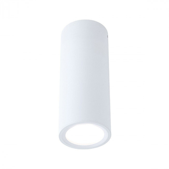 LED lubinis šviestuvas Barrel kaina ir informacija | Lubiniai šviestuvai | pigu.lt
