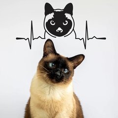 Interjero lipdukas Siamo katė kaina ir informacija | Interjero lipdukai | pigu.lt