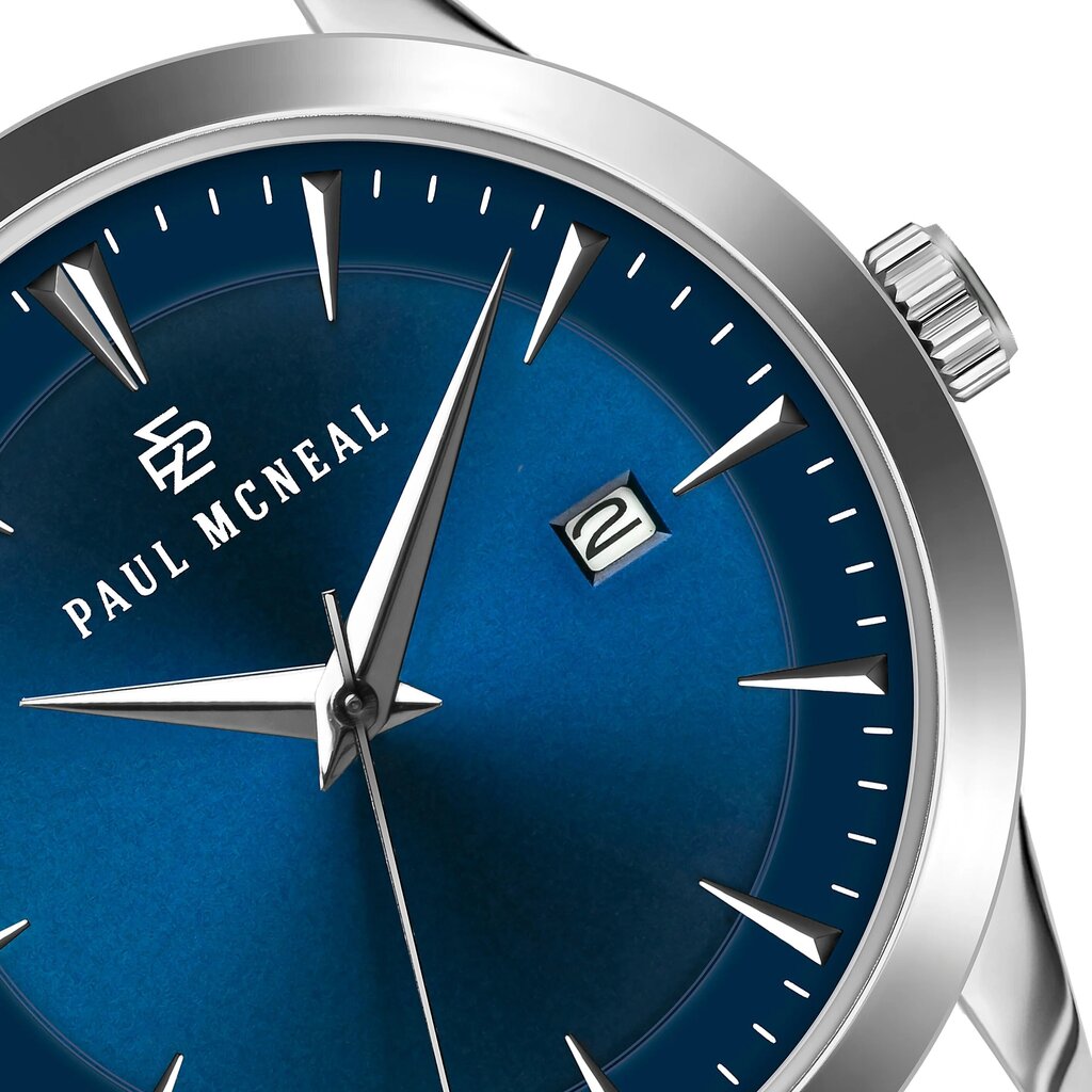 Vyriškas laikrodis Paul McNeal PCA-2520 kaina ir informacija | Vyriški laikrodžiai | pigu.lt