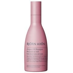 Plaukų šampūnas Björn Axén Argan Oil, 250 ml kaina ir informacija | Šampūnai | pigu.lt