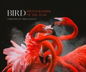 Bird Photographer of the Year: Collection 3 edition цена и информация | Книги по фотографии | pigu.lt