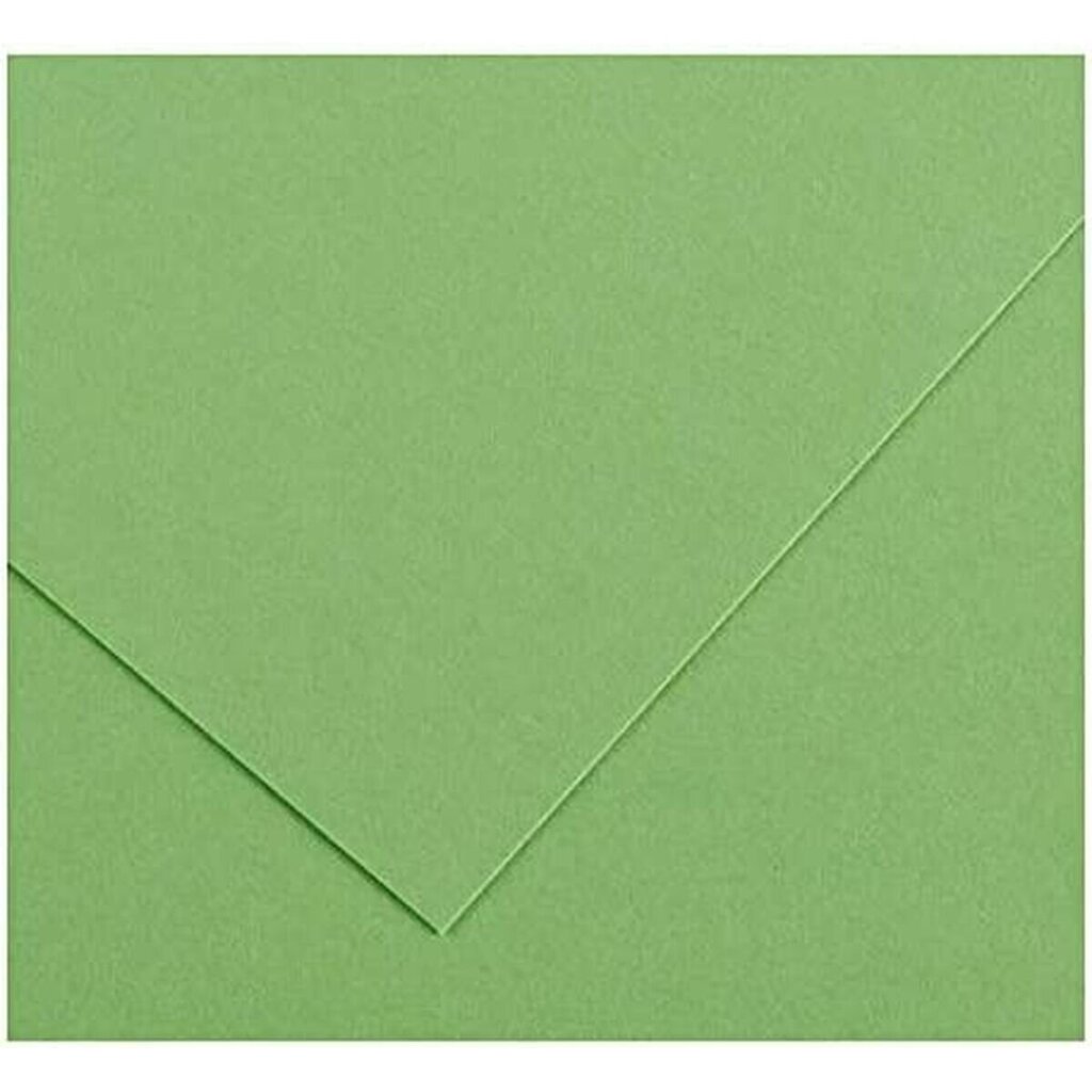 Kartoninis popierius Iris, žalias, 185 g, 25 vnt цена и информация | Sąsiuviniai ir popieriaus prekės | pigu.lt