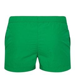 Beachshort champion legacy for men's green 216069gs024 216069GS024 цена и информация | Мужские шорты | pigu.lt