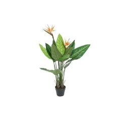 Dekoratyvinis augalas, 120 cm kaina ir informacija | Dirbtinės gėlės | pigu.lt
