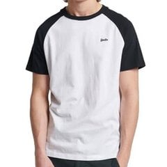 Marškinėliai vyrams Superdy, balti kaina ir informacija | Vyriški marškinėliai | pigu.lt