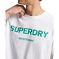 Marškinėliai vyrams Superdry, balti kaina ir informacija | Vyriški marškinėliai | pigu.lt