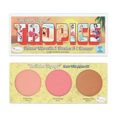 Bronzanto ir skaistalų paletė The Balm Voyage Tropics, 8,5 g цена и информация | Бронзеры (бронзаторы), румяна | pigu.lt