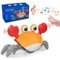 Interaktyvus vaikštantis krabas su garsais Kidology цена и информация | Žaislai berniukams | pigu.lt