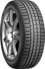 ROADSTONE Winguard Sport 215/50R17 95V XL kaina ir informacija | Žieminės padangos | pigu.lt