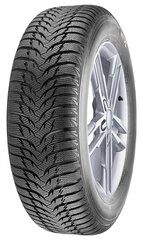 MARSHAL MW31 175/65R15 84T kaina ir informacija | Žieminės padangos | pigu.lt