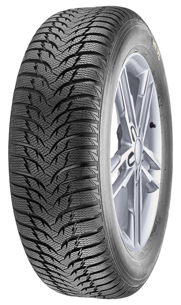 MARSHAL MW31 205/55R16 91T kaina ir informacija | Žieminės padangos | pigu.lt