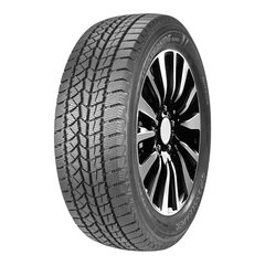 DOUBLESTAR DW02 195/55R16 87S kaina ir informacija | Žieminės padangos | pigu.lt