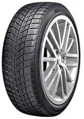 DOUBLESTAR DW09 315/35R20 106T kaina ir informacija | Žieminės padangos | pigu.lt