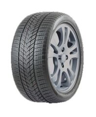 ROADMARCH WINTERXPRO 999 285/50R20 116H XL цена и информация | Зимняя резина | pigu.lt