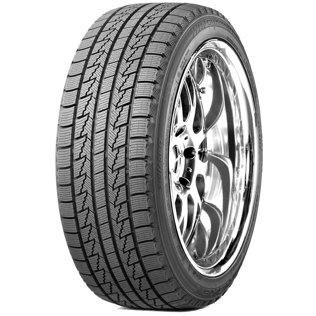 NEXEN WG Ice 225/55R16 95Q kaina ir informacija | Žieminės padangos | pigu.lt