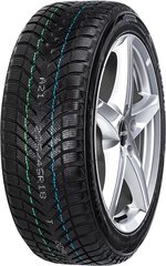 NEOLIN NeoWinter 225/55R16 99H XL kaina ir informacija | Žieminės padangos | pigu.lt