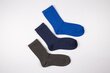 Kojinės berniukams Bellissima B525, mėlynos, 3 poros kaina ir informacija | Kojinės, pėdkelnės berniukams | pigu.lt