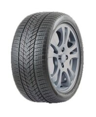 ROADMARCH WINTERXPRO 999 305/40R20 113H kaina ir informacija | Žieminės padangos | pigu.lt