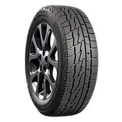 PREMIORRI ViaMaggiore Z Plus 215/65R16 98H цена и информация | Зимняя резина | pigu.lt