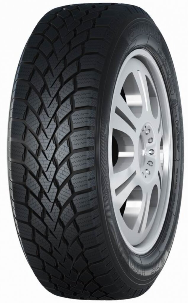 HAIDA HD617 195/55R15 85T kaina ir informacija | Žieminės padangos | pigu.lt