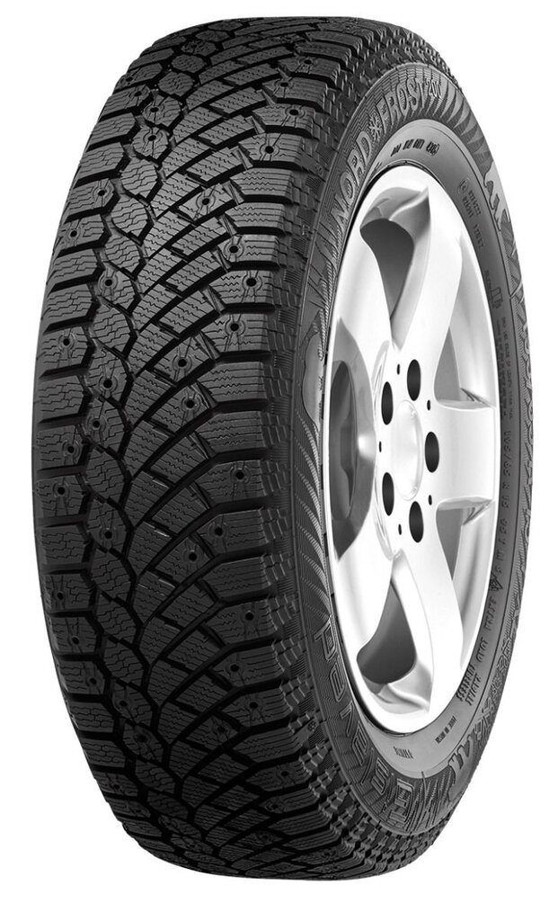 Gislaved Nord Frost 200 255/50R19 107T XL цена и информация | Žieminės padangos | pigu.lt