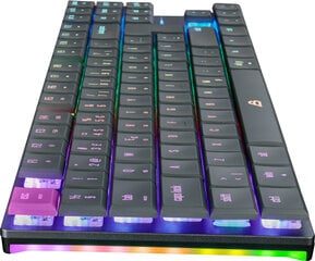 Blackstorm Flatline RGB TKL Dual Mode kaina ir informacija | Klaviatūros | pigu.lt