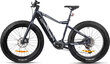 Elektrinis dviratis GZR Black Raw 2023 26" Electric Fatbike 17", juodas kaina ir informacija | Elektriniai dviračiai | pigu.lt