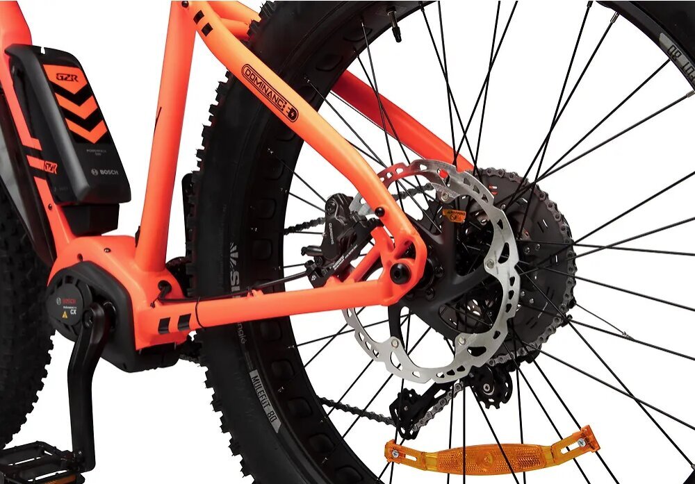 Elektrinis dviratis GZR Dominanc-e 2.0 26" 48,3 cm kaina ir informacija | Dviračiai | pigu.lt