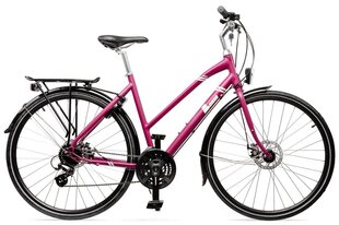 Hibridinis dviratis Baana Manta 28", 24 pavaros, violetinis kaina ir informacija | Dviračiai | pigu.lt