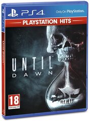 Until Dawn RUS/ENG PS4 цена и информация | Компьютерные игры | pigu.lt