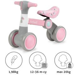 Mini balansinis dviratis Petito Bunny, rožinis kaina ir informacija | Balansiniai dviratukai | pigu.lt