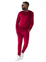 Sportinis kostiumas vyrams, raudonas цена и информация | Мужская спортивная одежда | pigu.lt