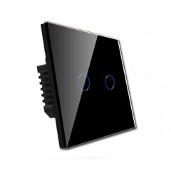 Двухполюсный сенсорный выключатель 500 Вт, черный цвет цена и информация | Выключатели, розетки | pigu.lt
