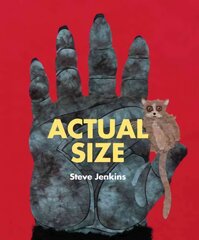 Actual Size цена и информация | Книги для самых маленьких | pigu.lt