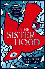 Sisterhood: Big Brother is watching. But they won't see her coming. kaina ir informacija | Fantastinės, mistinės knygos | pigu.lt