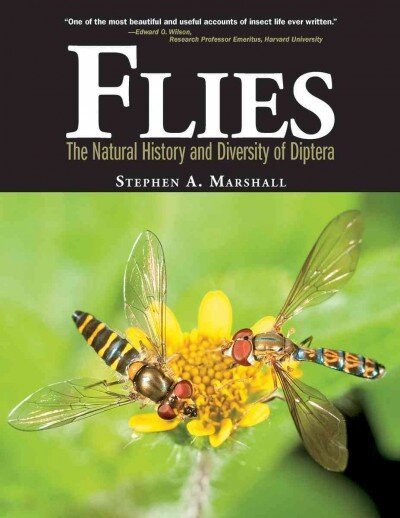 Flies: The Natural History and Diversity of Diptera: The Natural History and Diversity of Diptera kaina ir informacija | Knygos apie sveiką gyvenseną ir mitybą | pigu.lt