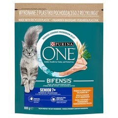 Purina One Bifensis Senior katėms maistas su vištiena, 800 g цена и информация |  Сухой корм для собак | pigu.lt