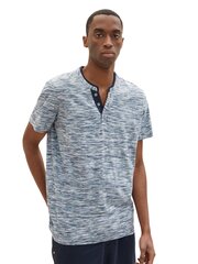 Мужская футболка Tom Tailor 1023906*14778, тёмно-синяя цена и информация | Мужские футболки | pigu.lt