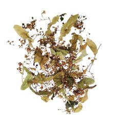 Liepžiedžių arbata, 10 g цена и информация |  Чаи и лекарственные травы | pigu.lt