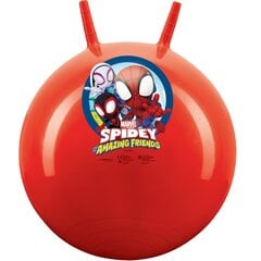Тренировочный мяч Spider Man цена и информация | Уличные игры | pigu.lt