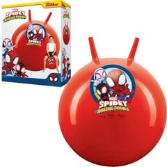 Тренировочный мяч Spider Man цена и информация | Игры на открытом воздухе | pigu.lt