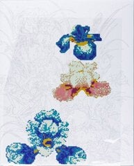 Tapybos ant drobės ir deimantinės mozaikos rinkinys Irises, 400x500mm kaina ir informacija | Deimantinės mozaikos | pigu.lt