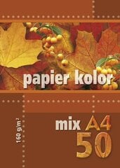 Цветная бумага Kreska А4, 50 листов цена и информация | Тетради и бумажные товары | pigu.lt